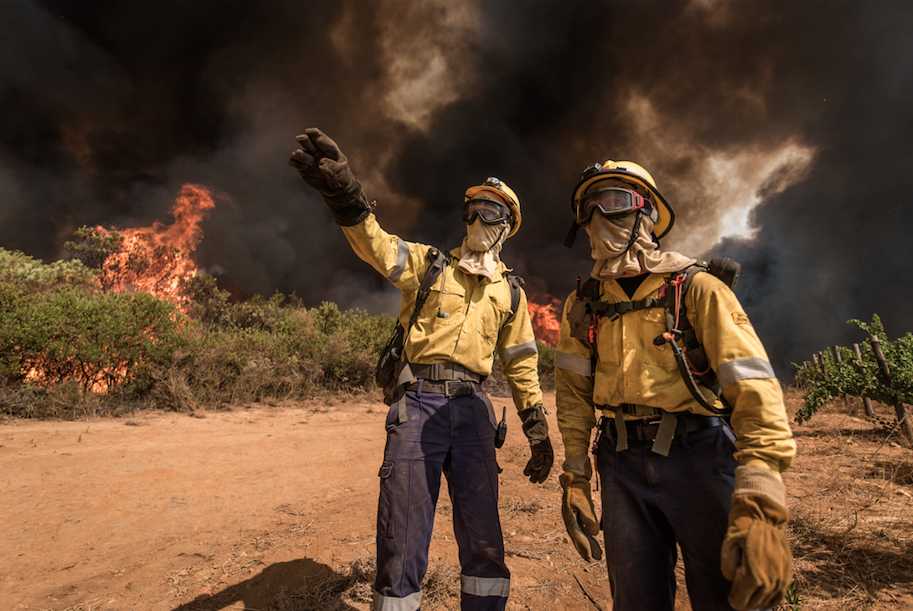 ReWild Walking with Fire A Wildfire Documentary